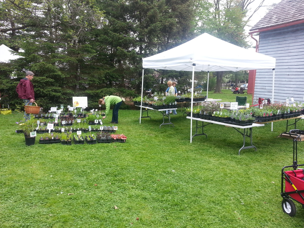Plant Sale Events - Welcome to Meadowsweet Native Plant Farm